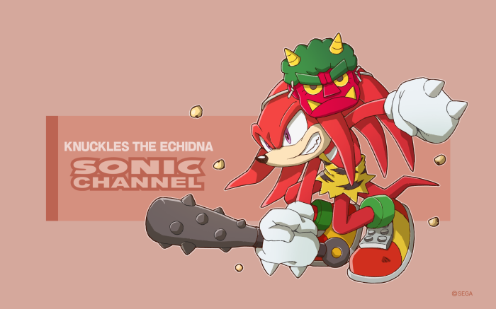 Knuckles the Echidna from Sonic Channel