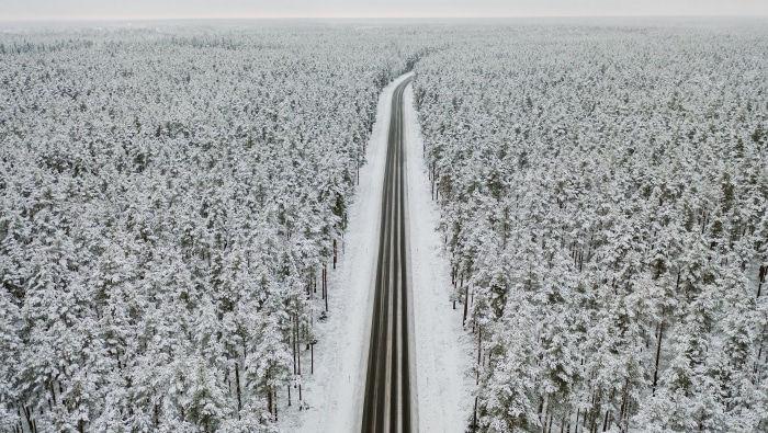 Road through a snow-covered forest