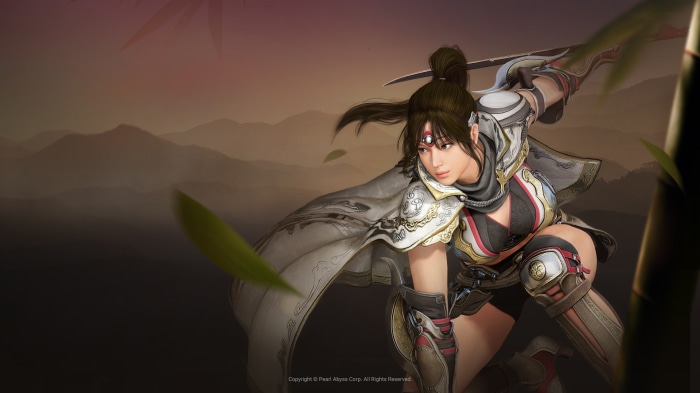 Warrior from Black Desert Online