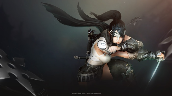 Ninja from Black Desert Online