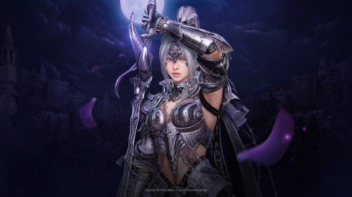 Warrior from Black Desert Online