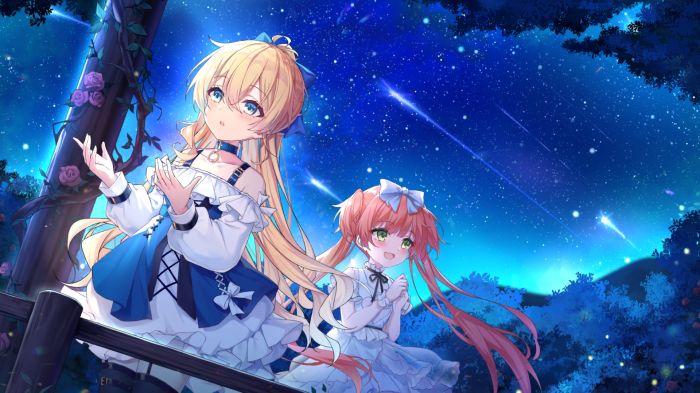 Two anime girls under a starry night sky