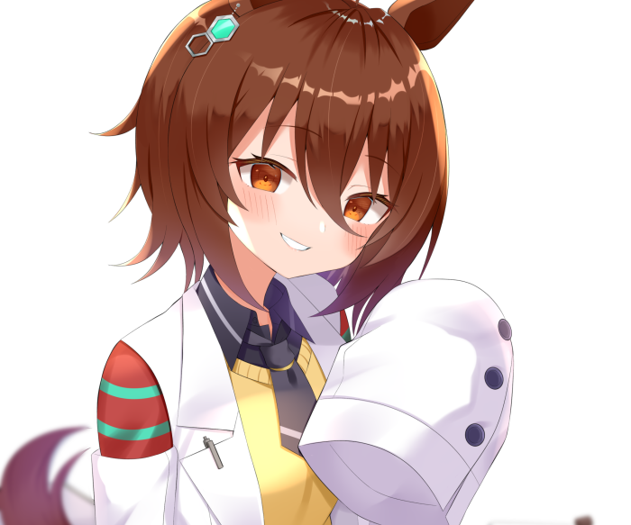 Agnes Tachyon from Uma Musume: Pretty Derby