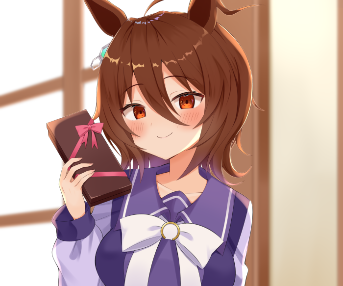 Agnes Tachyon from Uma Musume: Pretty Derby holding chocolate