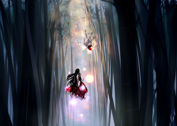Kaguya Houraisan and Fujiwara no Mokou from Touhou