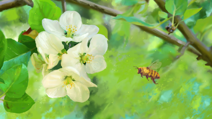 Bee flying near apple blossoms