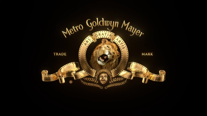 Metro Goldwyn Mayer Logo