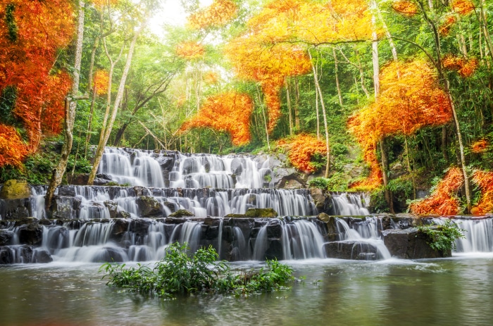 Tiered Waterfall in Autumn Forest 4K