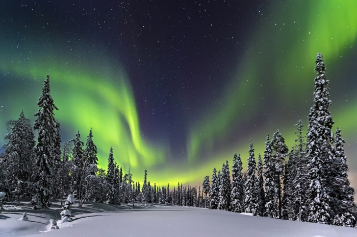 Aurora Borealis over snow-covered forest