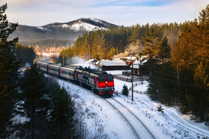 Train in a Snowy Forest