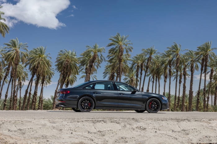 Audi S8 4K parked by palm trees