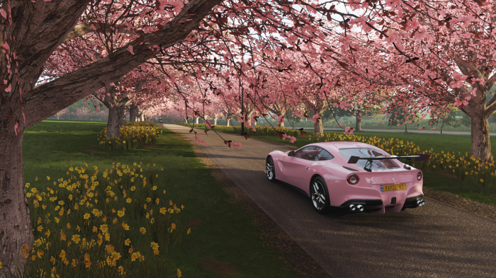 Pink Ferrari driving through cherry blossom trees