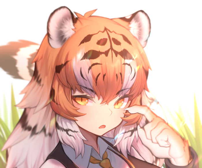 Tiger from Kemono Friends
