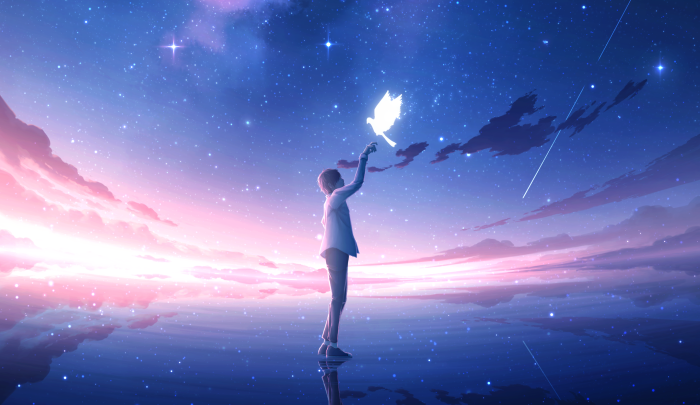 Boy HD, Starry Sky, HD Wallpaper | Rare Gallery