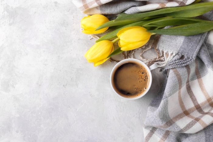 Yellow tulips and coffee with blanket