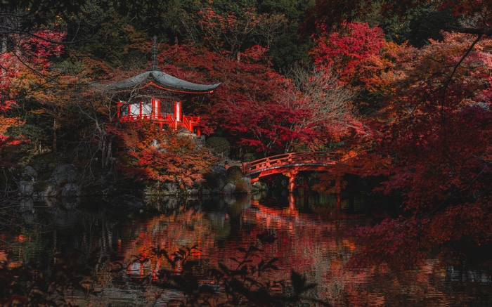 Red Pagoda and Bridge in Autumn Park 4K