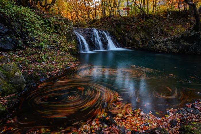 Waterfall with autumn leaves in water