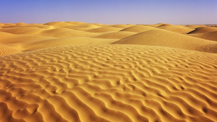 Desert sand dunes under a clear blue sky