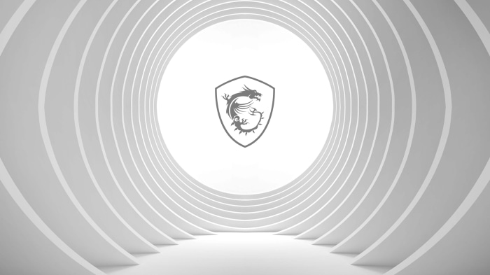 MSI