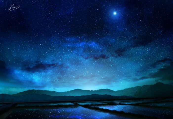 Starry Night Sky Over Reflecting Fields