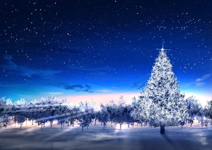 Christmas Tree Under Starry Night Sky