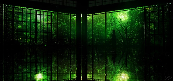 Room with a view of a green forest