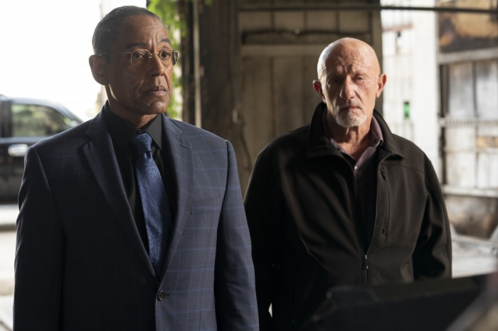 Gus Fring and Mike Ehrmantraut from Better Call Saul