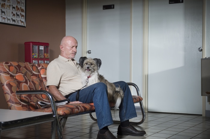 Mike Ehrmantraut with a dog in a waiting room