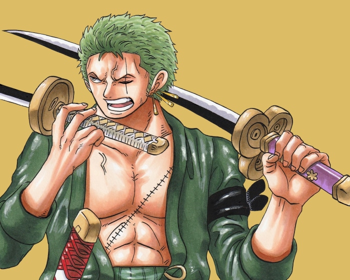 Roronoa Zoro from One Piece