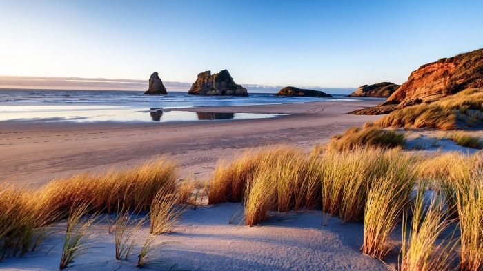 Beach with rock formations and tall grass in New Zealand