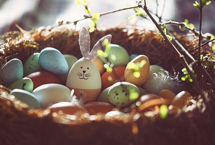 Easter eggs in a nest with a bunny decoration