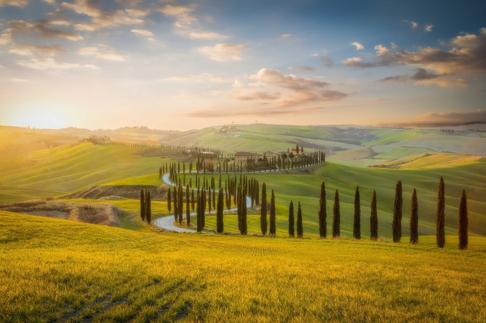 Tuscany Landscape with Cypress Trees and Rolling Hills
