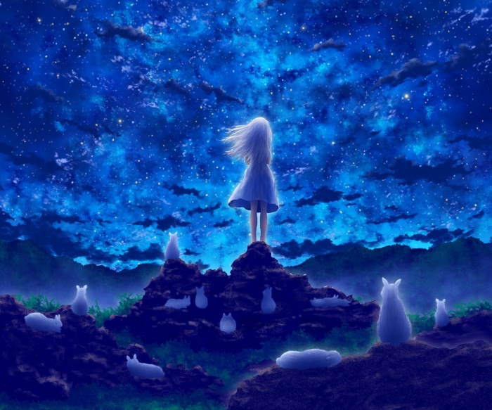 Girl standing on rocks under a starry sky