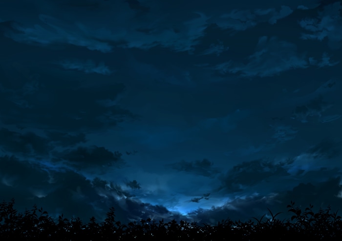 Dark blue cloudy sky over silhouette of plants