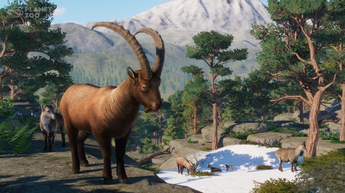 Planet Zoo Ibex in a Mountainous Landscape