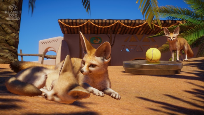 Fennec foxes in Planet Zoo Africa Pack