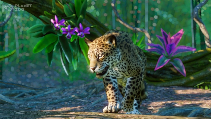 Jaguar from Planet Zoo