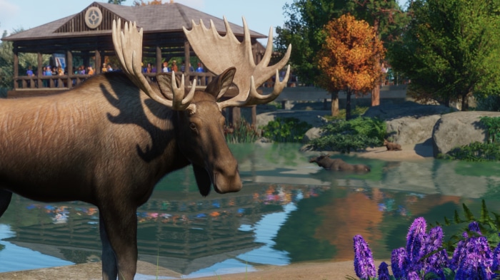 Moose in Planet Zoo