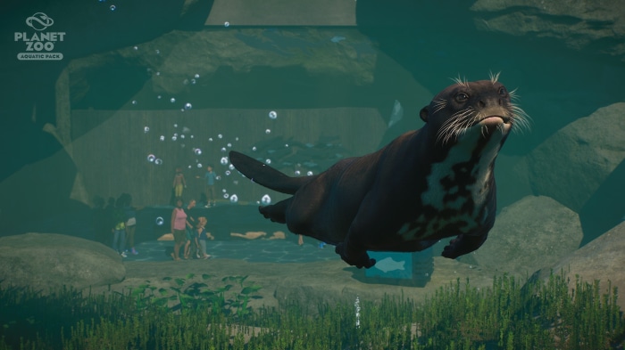Planet Zoo Aquatic Pack Otter