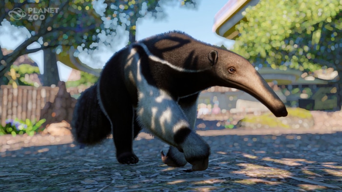 Giant Anteater from Planet Zoo