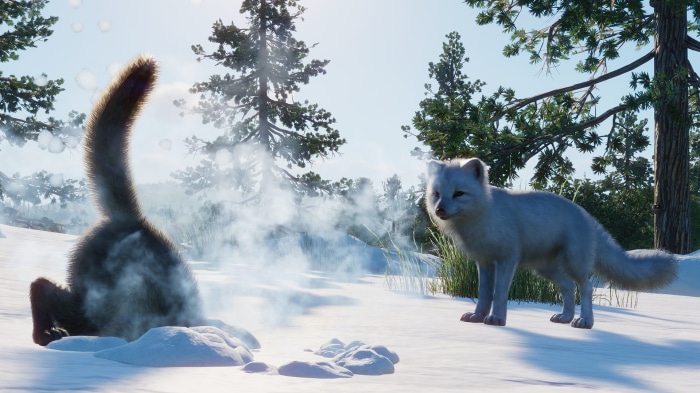 Arctic fox and animal digging in snow in Planet Zoo
