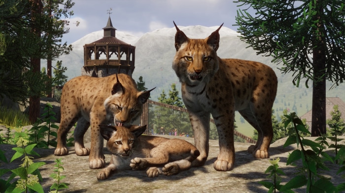 Lynx family in Planet Zoo