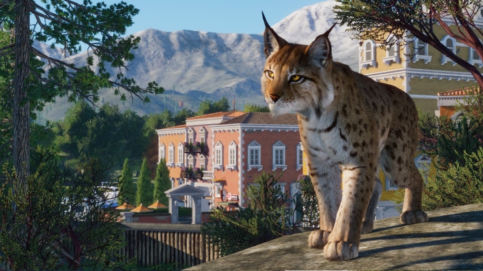 Lynx in Planet Zoo