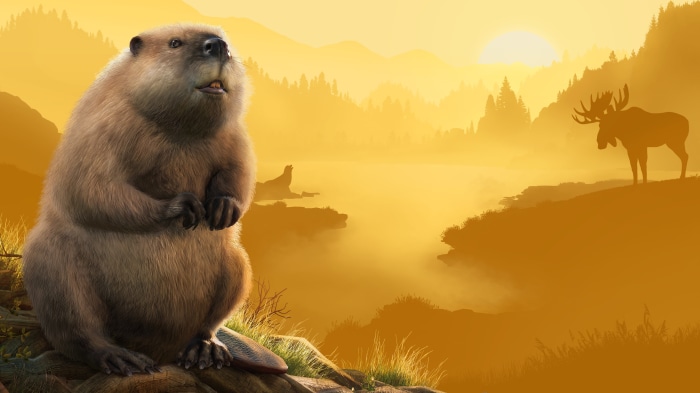 Beaver and Moose in Planet Zoo 4K