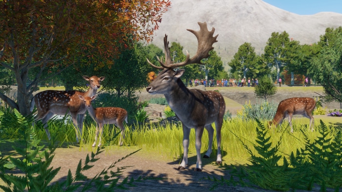 Fallow deer in Planet Zoo