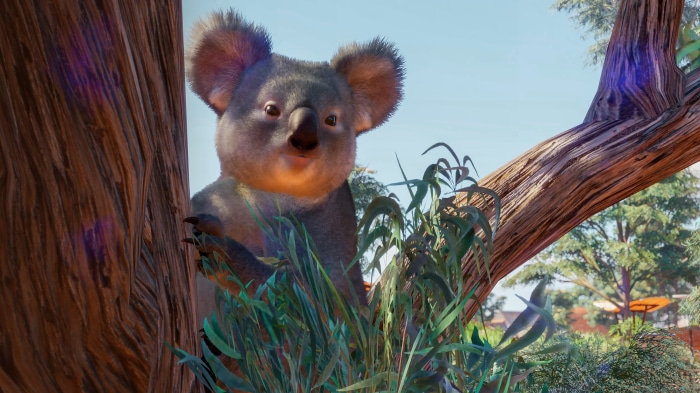 Koala from Planet Zoo 4K