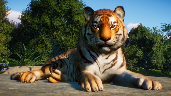 Tiger from Planet Zoo 4K