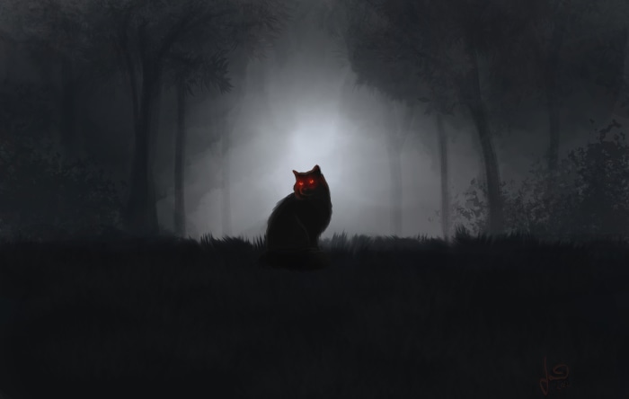 Black cat with glowing red eyes in a dark forest