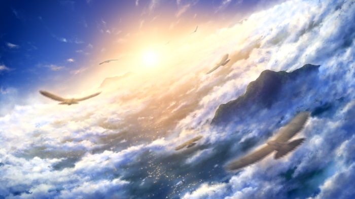Birds flying in the sky during sunrise