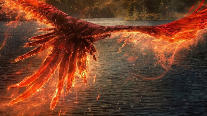 Phoenix from Fantastic Beasts: The Secrets Of Dumbledore